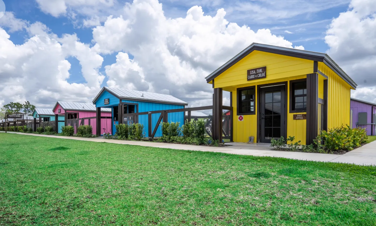 Yellow, blue, and pink cottages with metal roofs on a lawn