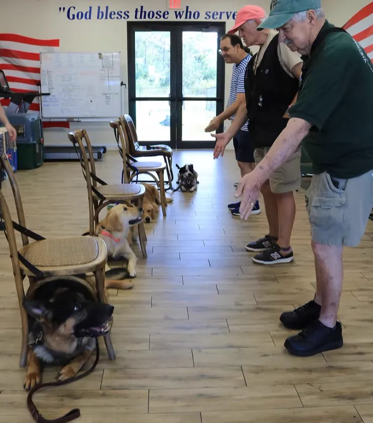 Visitors in a training room with dogs and a patriotic wall graphic