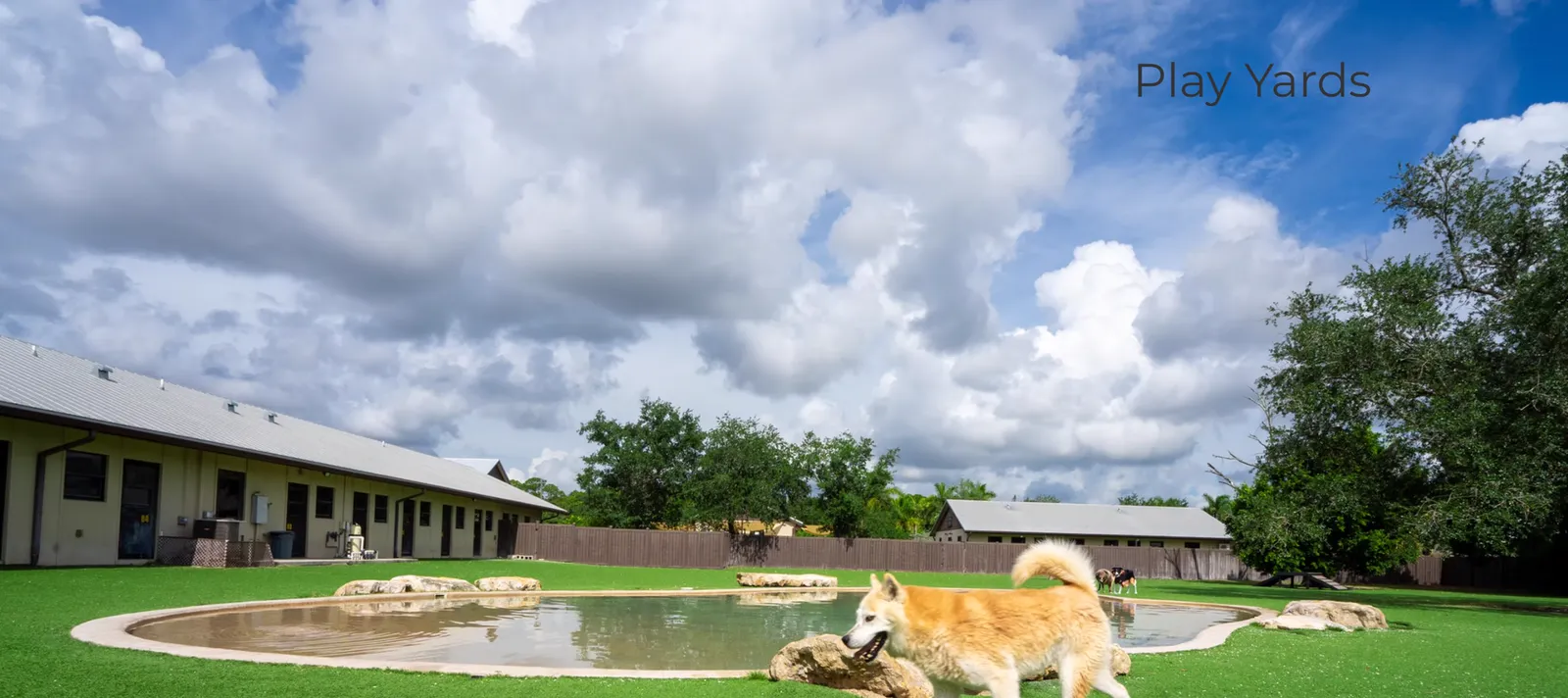 Dog play pool and lawn beside the kennel buildings
