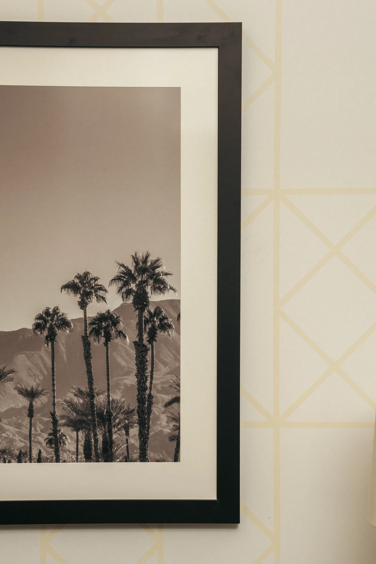 Framed photograph of palm trees on a wall