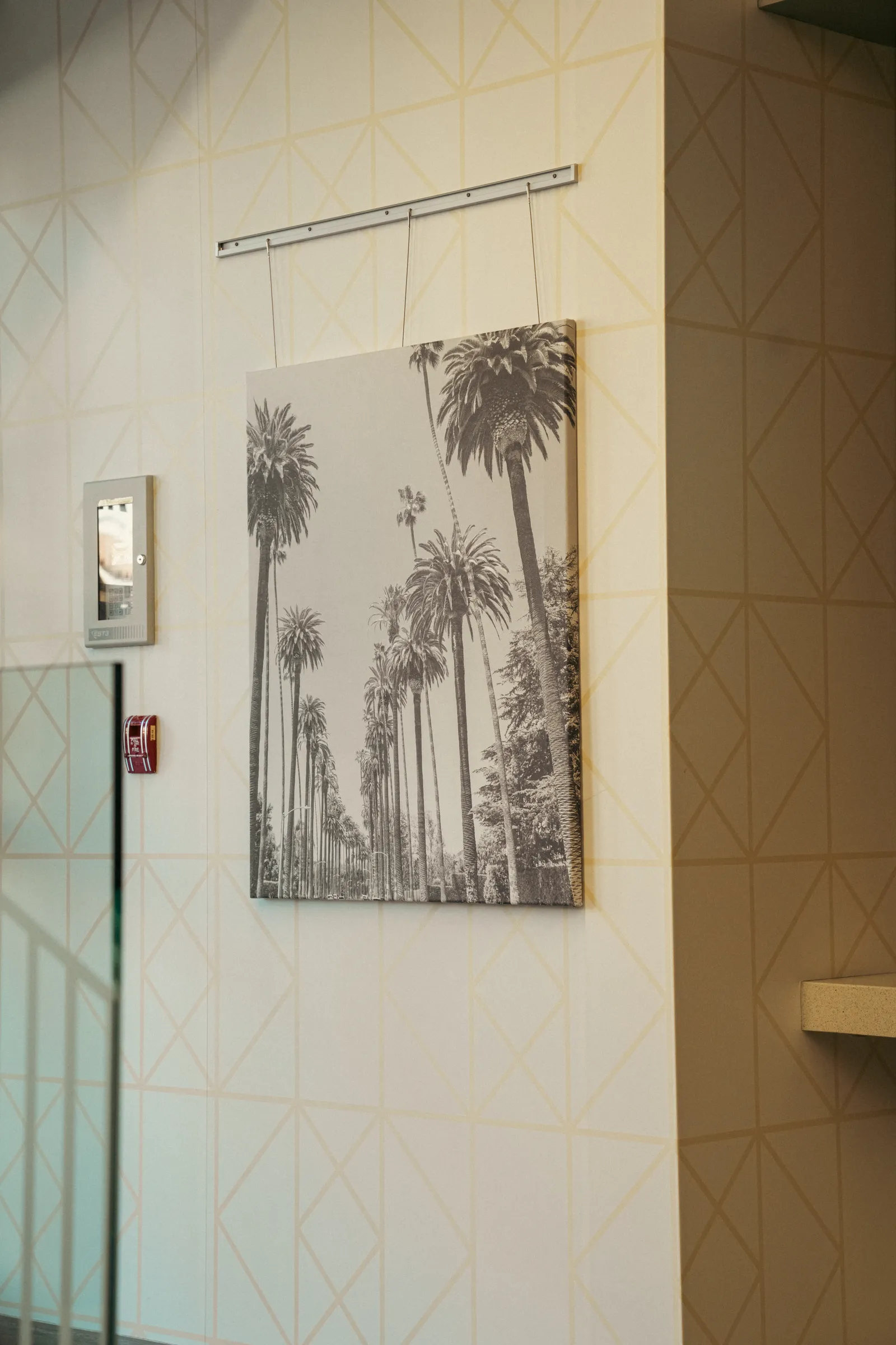 Framed palm tree photograph near a stair